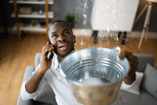 Best 24-hour water damage restoration  in Caledonia, MI