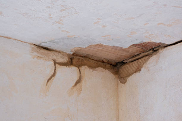 Best Professional water damage repair  in Caledonia, MI