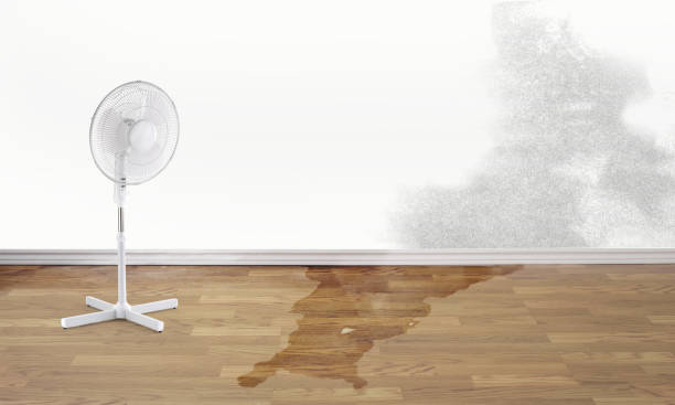 Best Emergency water damage restoration  in Caledonia, MI