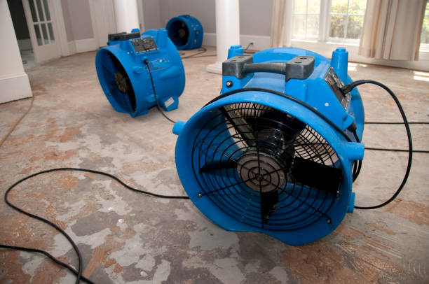 Best Flood damage cleanup  in Caledonia, MI