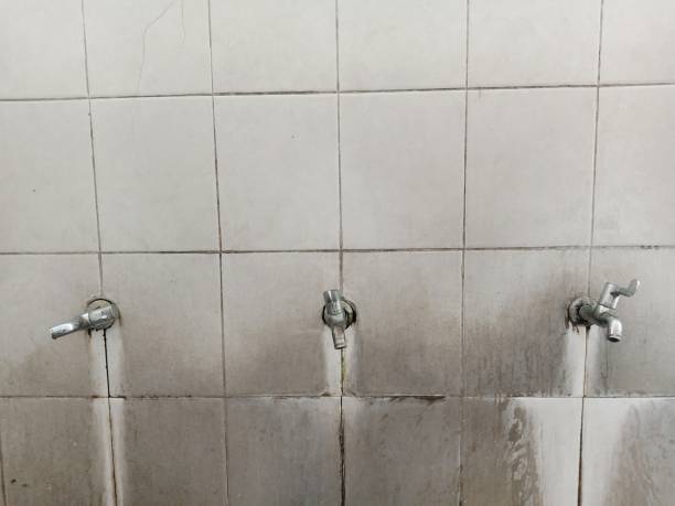 Reliable Caledonia, MI Water damage restoration Solutions